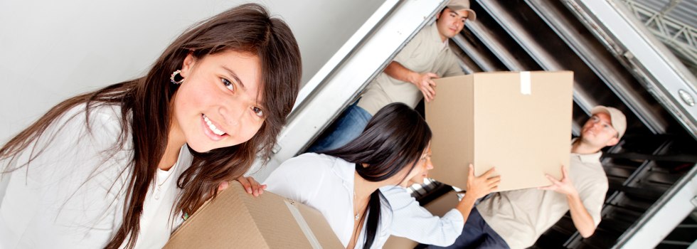 Professional Removalists Tablelands QLD
